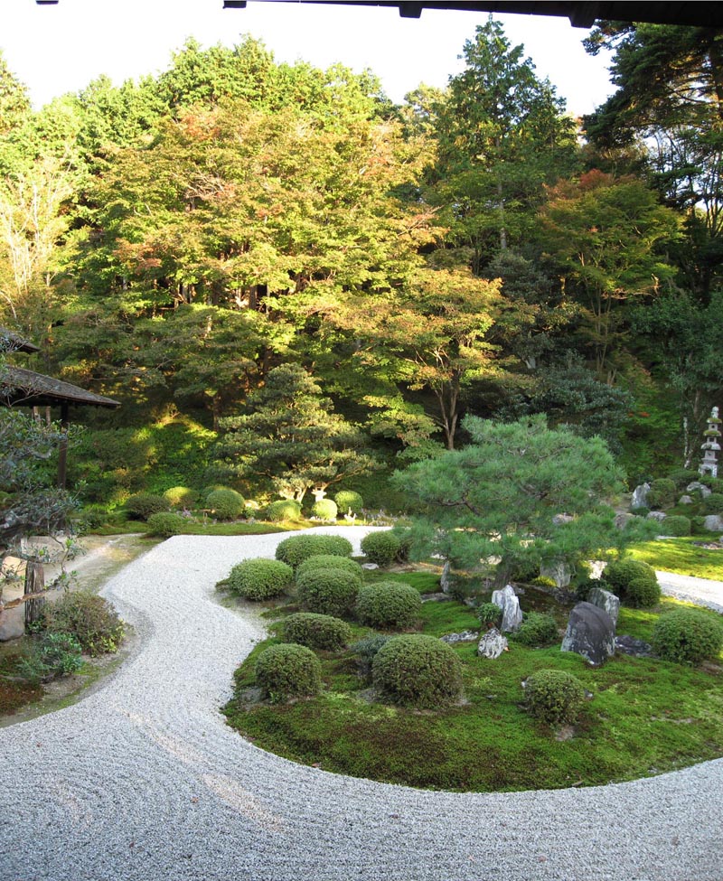 Plants, gardens and ikebana