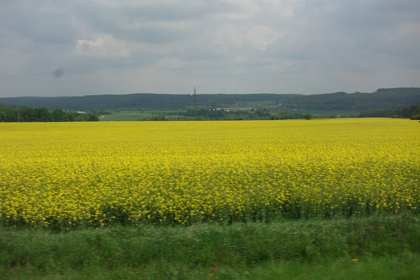 Because of more railway repairs, we took a bus to Pilsen instead of a train.