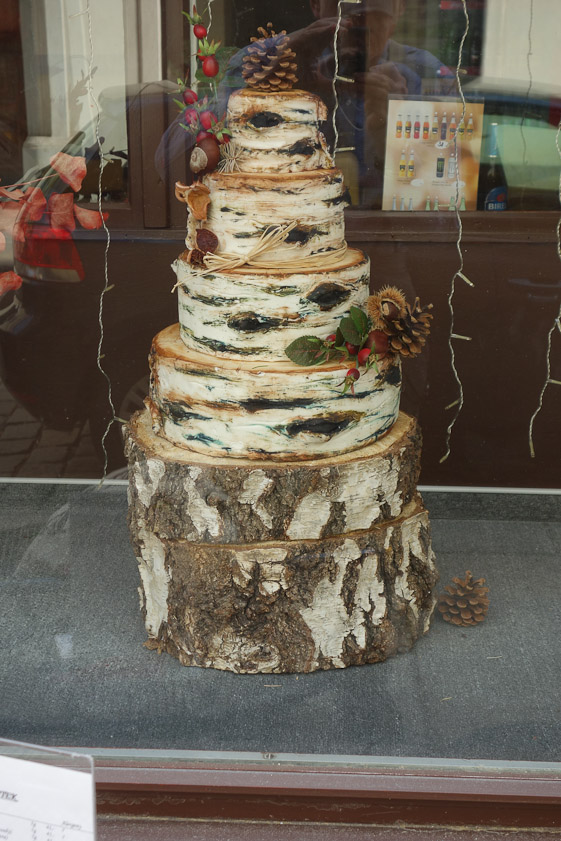 After the underground tour we walked past a fancy pastry store with this in the window. Not pieces of birch; cake!
