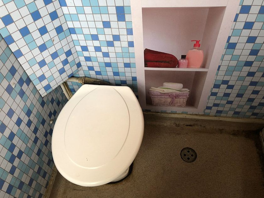 On the train to Kutna Hora I was amused by this trompe d'oeil painting on the wall in the toilet. Just like home?
