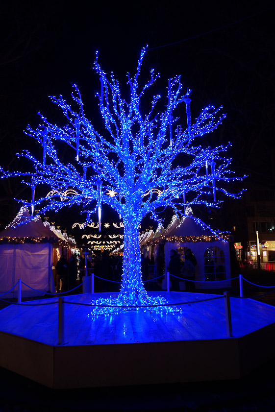 The centerpiece of the Neustadt Markt.