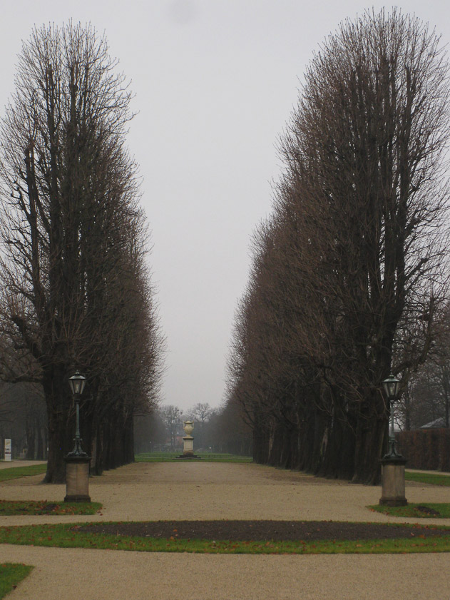 Allee of trees at Pillnitz Palace