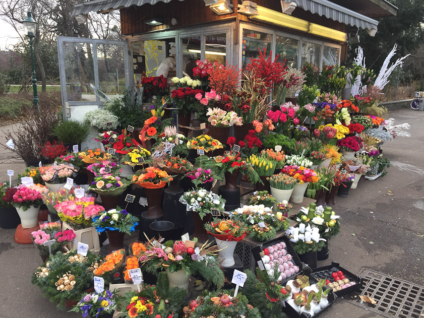 A lovely display of flowers for sale at the tram stop for the Museum of Applied Art.