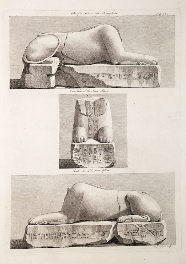 Another sphinx drawn by Adam.