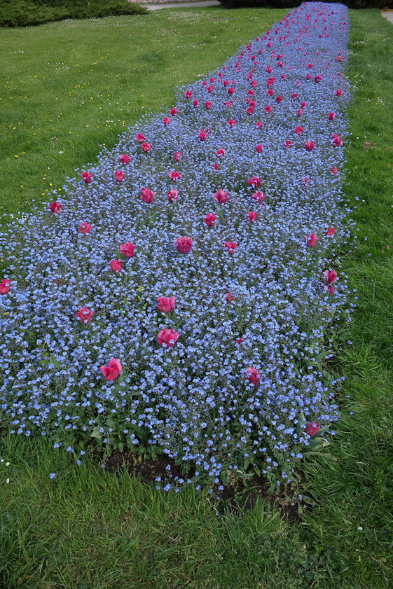 Flower bed next to the National Theater.