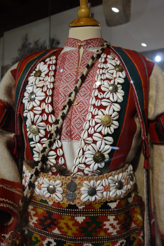 A closeup of the shells used for decoration.