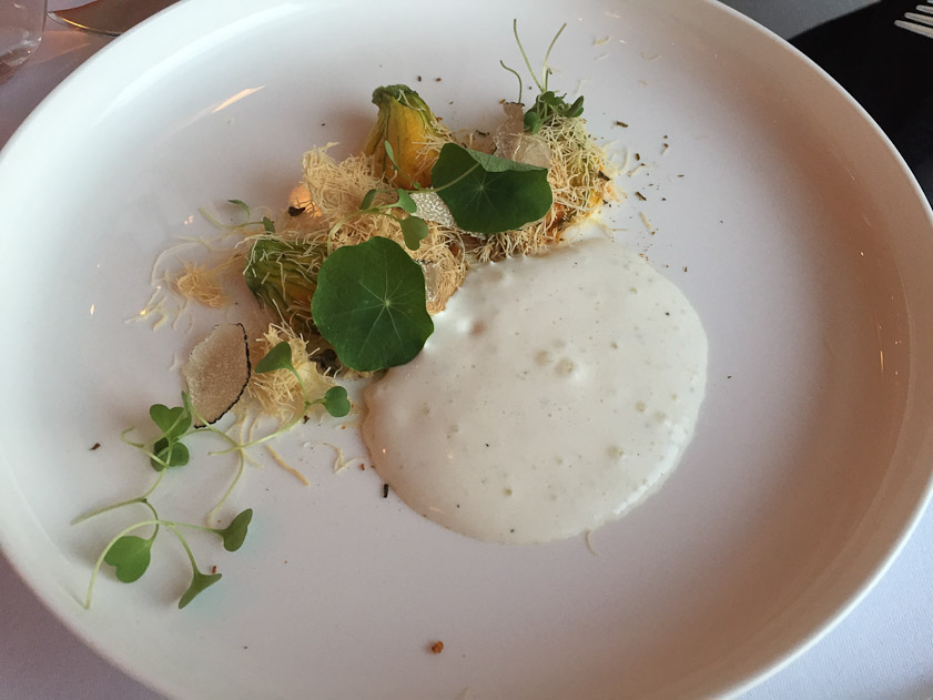 Appetizer for MTD: zucchini flowers