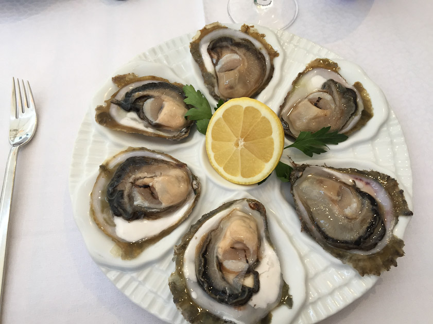 Oysters from Ston (a town up the coast)