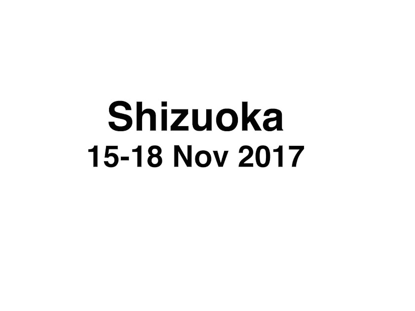 We flew from Kaohsiung to Narita and took the train to Shizuoka.