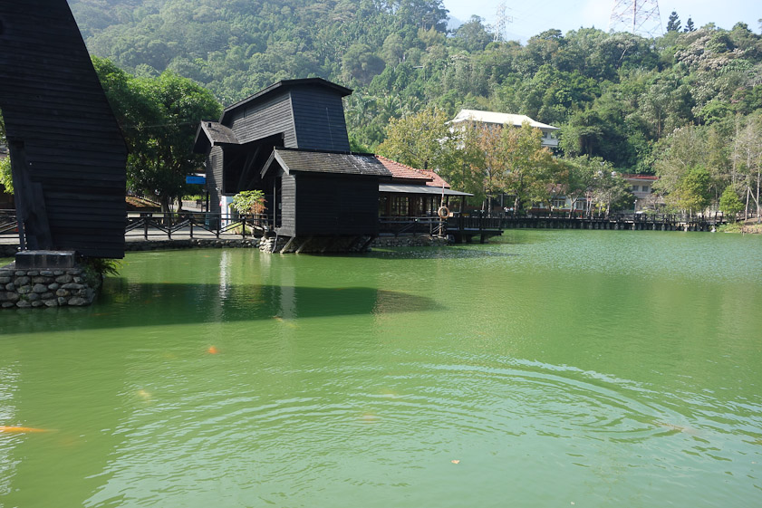 Before construction of the Mingtan dam, ogs were floated down the Shuili to this lake at Checheng and then moved to the nearby sawmill.
