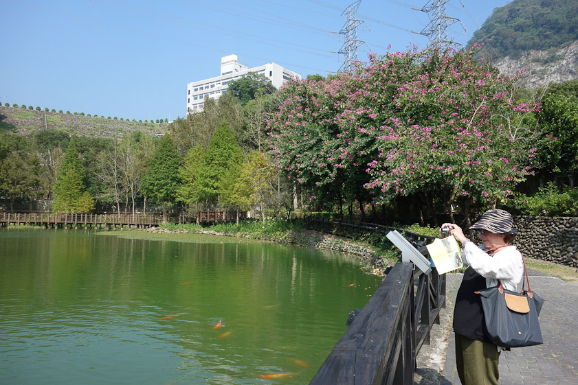 The Mingtan dam, the logging lake, and Mariana. Before the dam was built, logs could be floated down the river to this pond.
