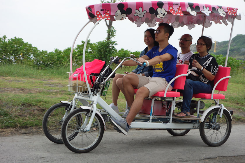 I wish we'd had one of these electric carts. Next time!