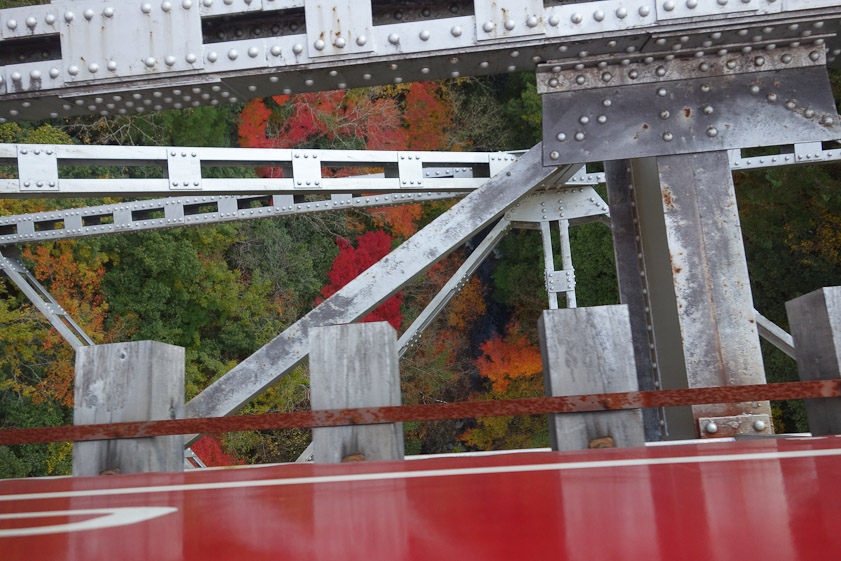 Looking straight down at fall colors as we cross a bridge