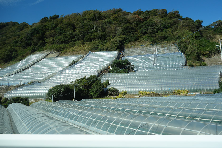 In the taxi along the coast to get to the top of Nihondaira we passed many greenhouses. Among other things they must raise strawberries, since they were for sale near the bottom of the staircase.