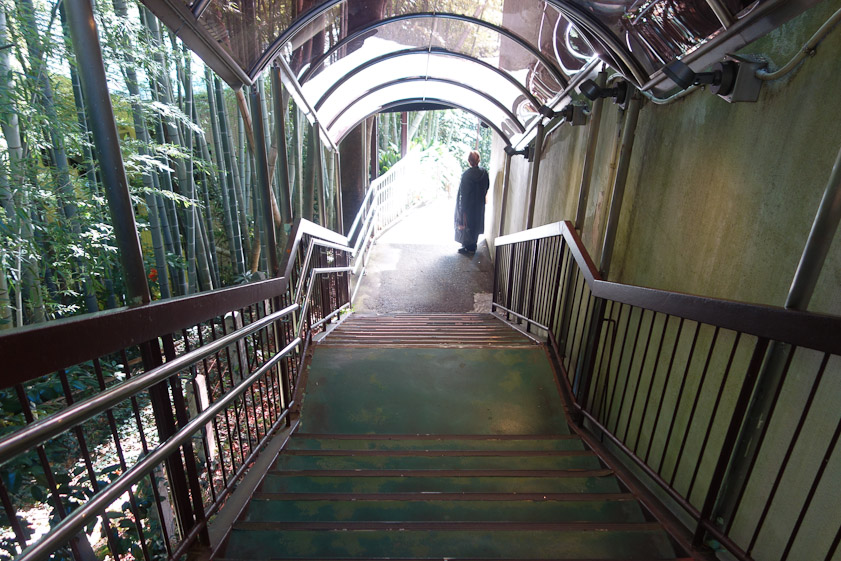 Unfortunately we had to walk down 77 steps from the ropeway landing to the shrine entrance.