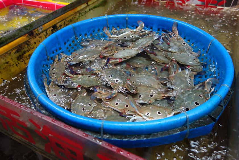 Live crabs of an unfamiliar kind.