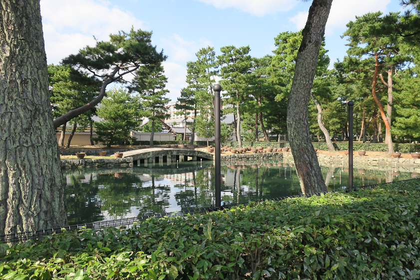 Two days later the weather was sunny when our friend Teruko Shibata took us to see Shokoku-ji, an extensive temple just north of the Imperial Palace in Kyoto. This lotus pond (No-Ieke) is at the south end of the temple grounds.