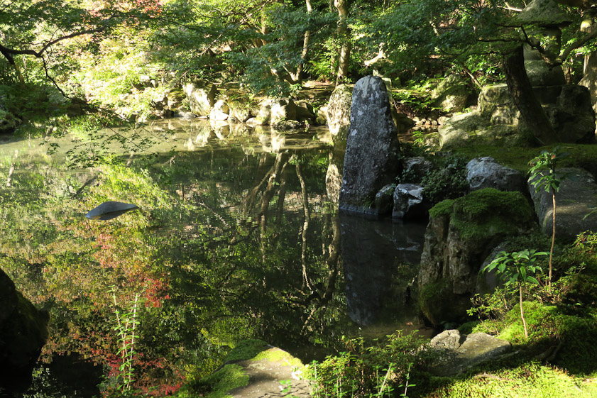 The water was still, making a mirror that shows the trees above the pond.