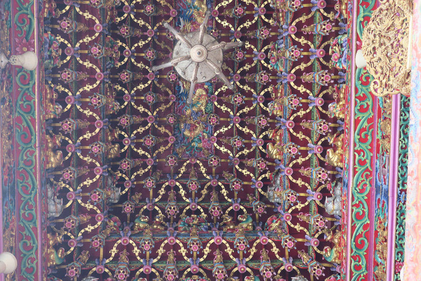 The intricate ceiling (algal well).
