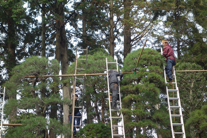 No OSHA here. The ladders were steep, and a fall would end either on rocks of on the flat stone of the walk 12 feet further down.