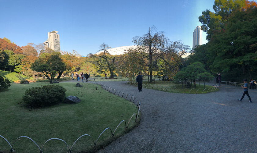 The garden is overlooked by several tall modern buildings.