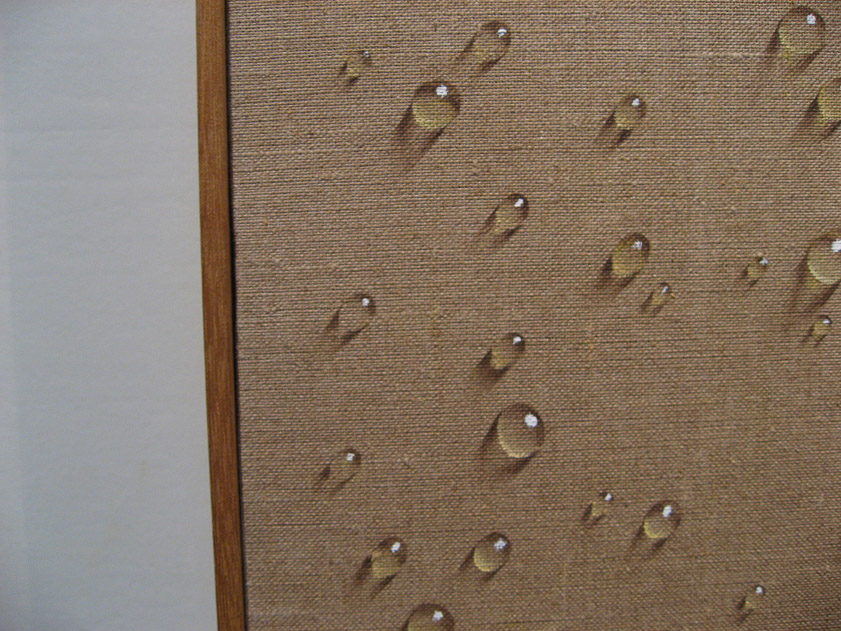 That's not trompe d;oeil; those drops are real, three dimensional.