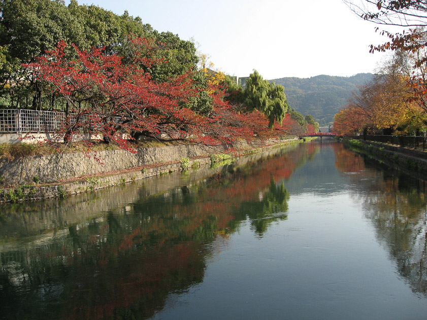 The next day we walked past this canal parallel to Niomon Dori, just south of the Heian Shrine.