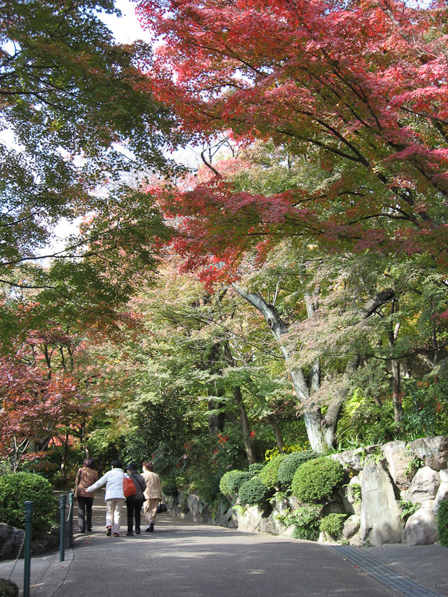 I visited the museum by myself, since Mariana was taking a class at Ikenobo HQ.
