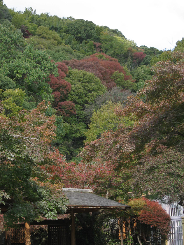 The villa is uphill from the RR station, with a view toward Kyoto.