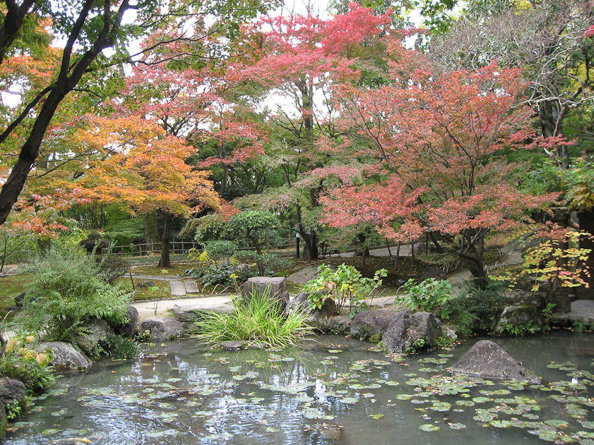 Garden at the Villa