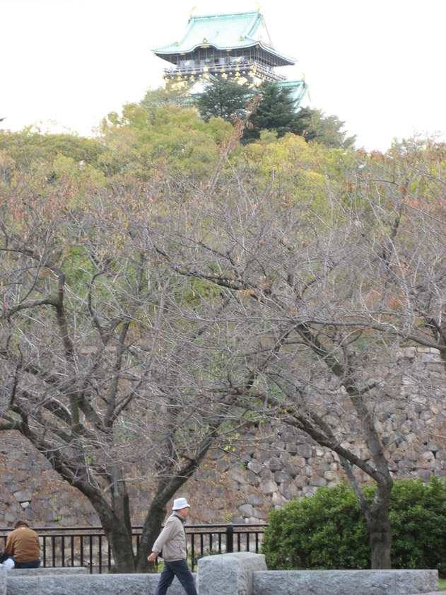 Osaka Castle