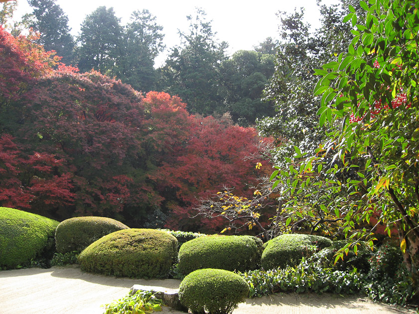We waited our turn and got to view the garden from the house.