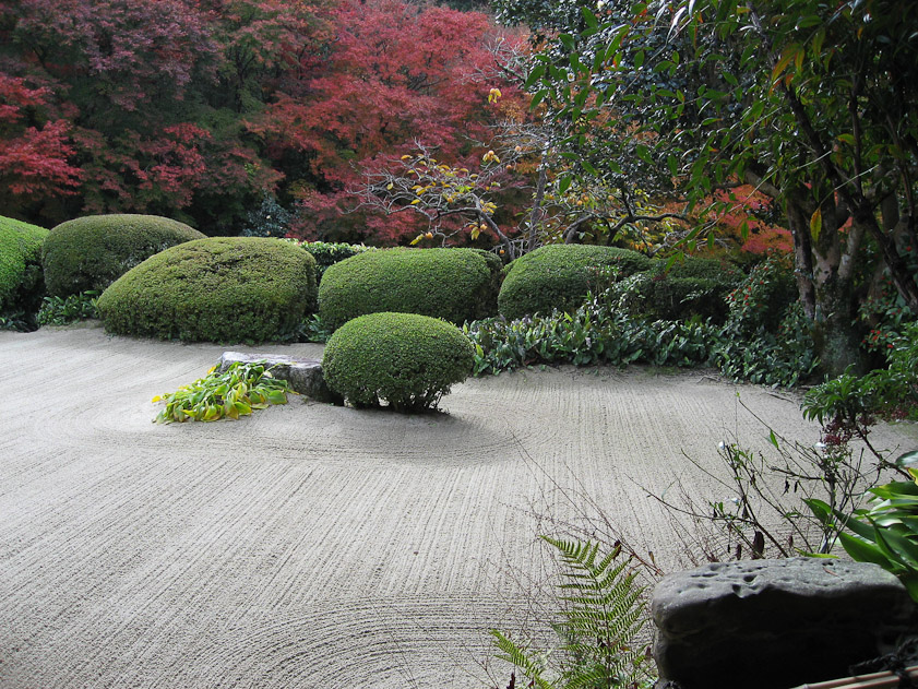 A variety of forms