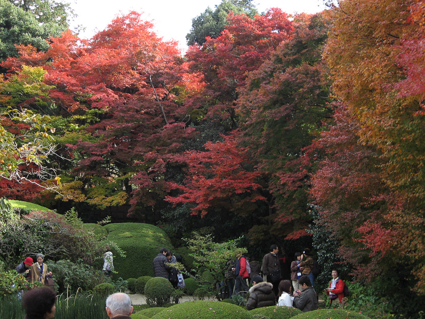 The crowd was still pretty thick in the garden.
