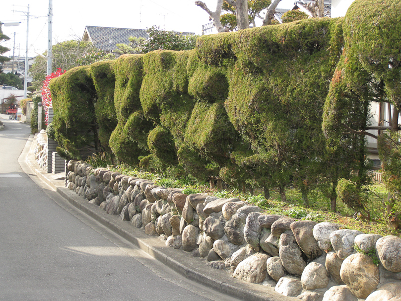 A wonderfully bumpy hedge near Toshodaiji