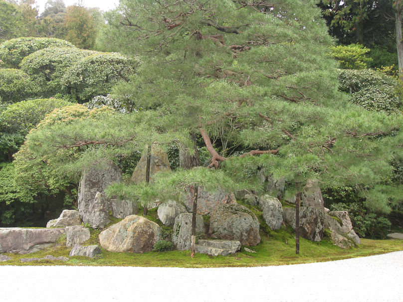 Konchi-in garden