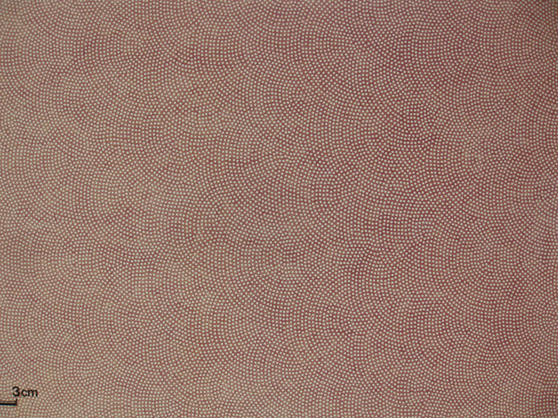 This fan pattern stencil was made by a special drill. The stencil cutter taps the U-shaped tool to cut through the paper, then twists it to cut a circular hole.