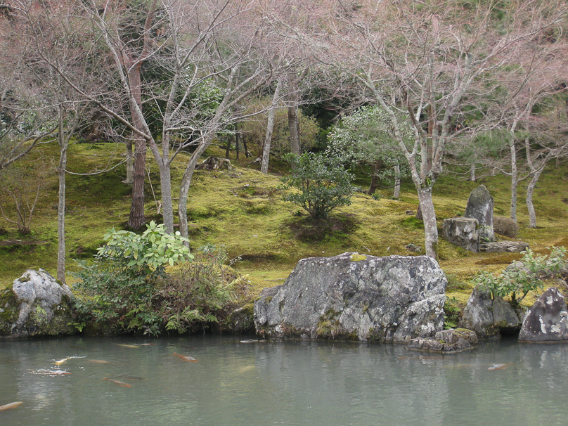 Rocks and moss at Tenryuji