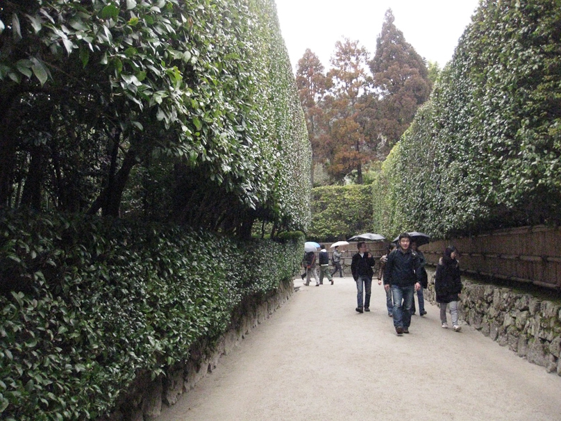 On 4 March ED stayed in the ryokan again and MTD visited a couple of temples and a shirine by herself. This is the entrance to Gingkakuji (the Silver Pavilion), between tall hedges