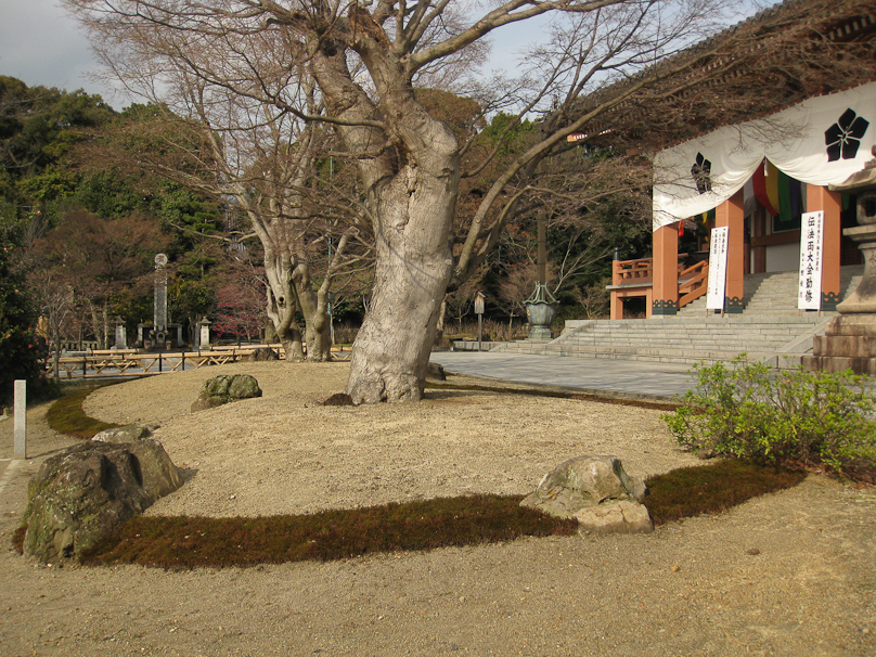 MTD visited Chishaku-in  on 6 March while ED spent his fourth day convalescing in the ryokan.