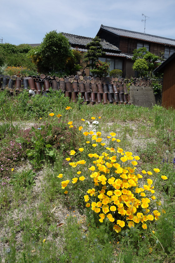 Scrap and seconds of industrial ceramics are used to shore up walls along the pottery footpath. These are ceramic drain pipes.