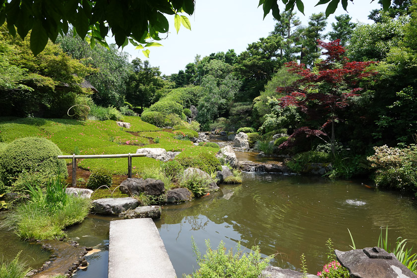 The pond in the strolling garden at Taizo-in.