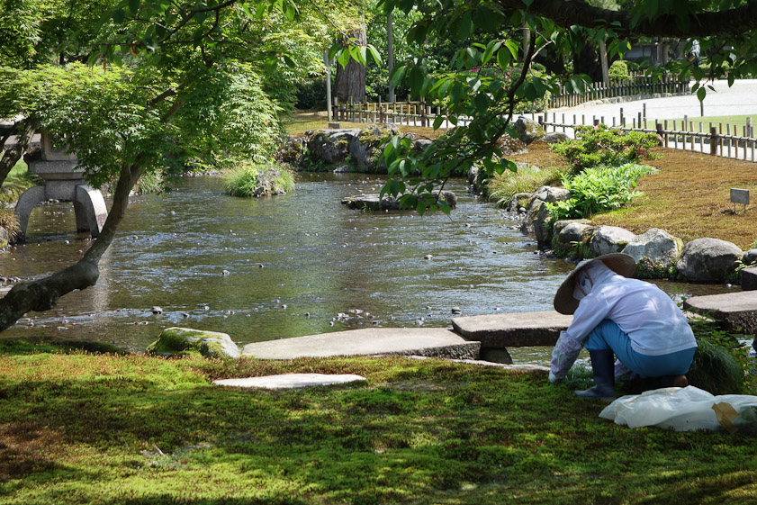 Japanese gardeners need good knees. She is pulling weeds out of the moss.