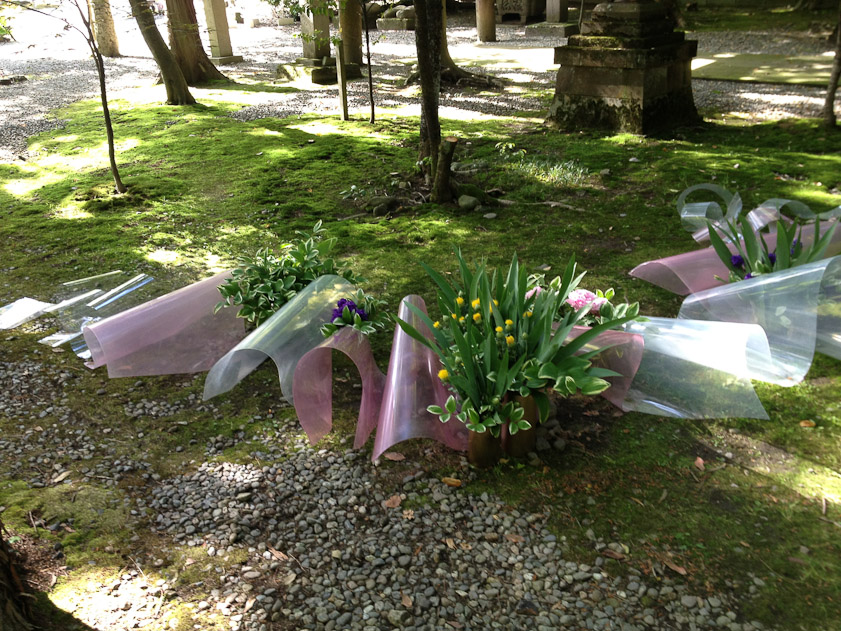 The Oyama Shrine in Kanazawa was displaying ikebana, both small, indoor arrangements and large, outoor arrangements like this.