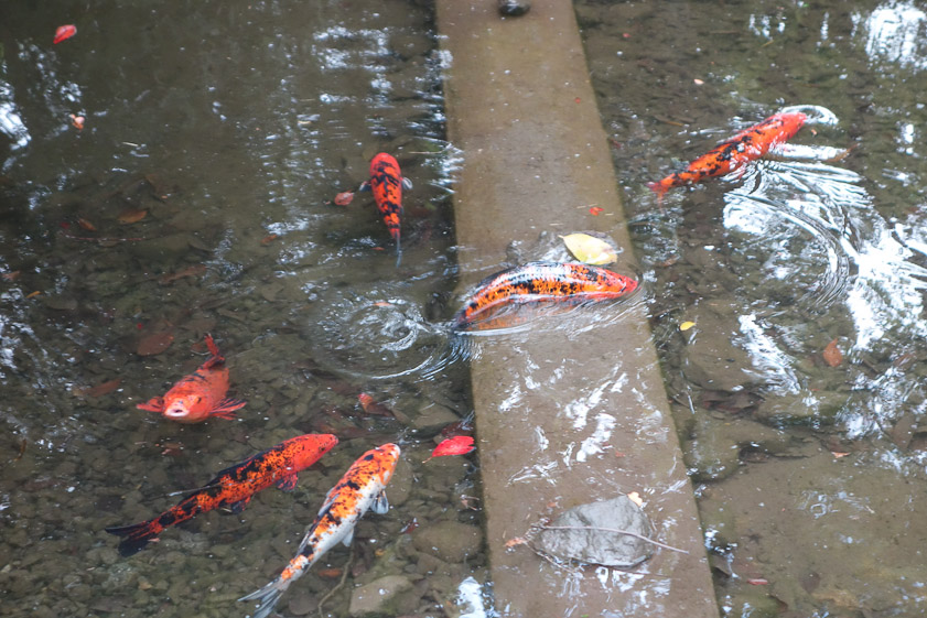 Oyamazaki Villa garden