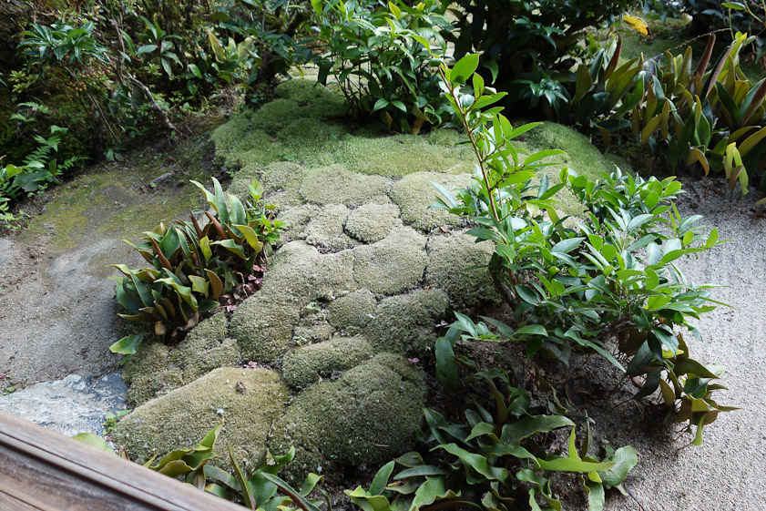 Moss-covered rock at Enko-ji