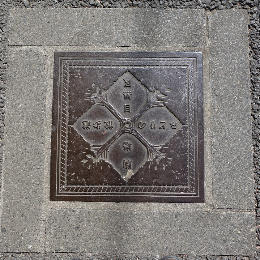 Manhole cover in Tokyo.