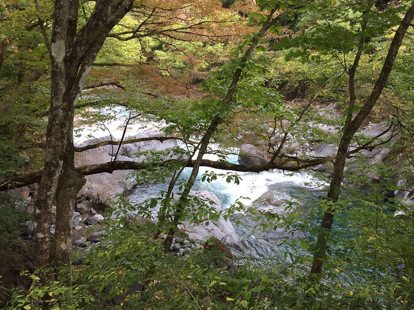 There is a gorge at the south side of the Botanical Garden, called the 