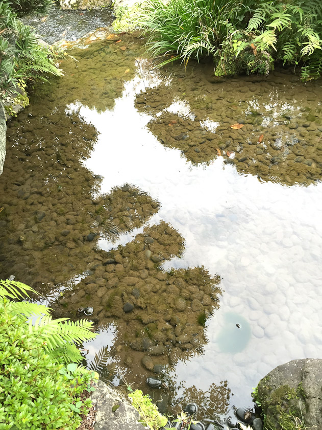 Pond at Oyamazaki Villa.