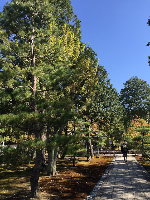 The entrance to the garden at Chisaku-in temple in Kyoto. We toured the temple before meeting a friend nearby at the Kyoto National Museum.